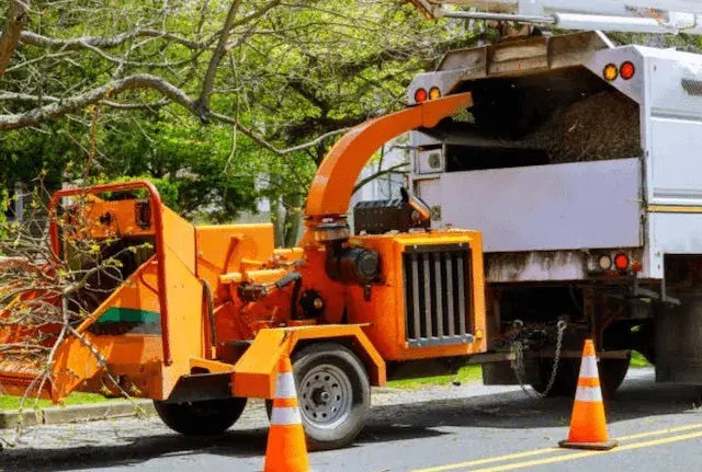 tree removal monmouth nj