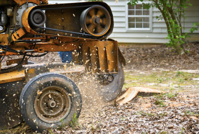 stump grinding monmouth nj